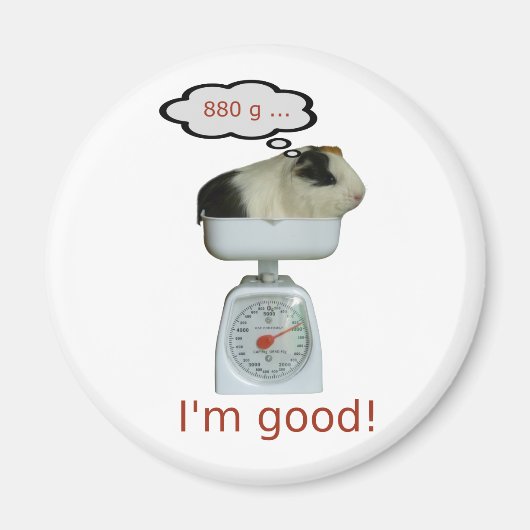 Guinea Pig Gesundheit Magnet (Vorne)