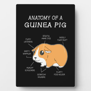 Guinea Pig Gift   Anatomie eines Guinea Fotoplatte