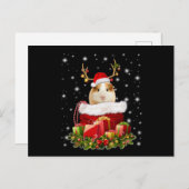 Guinea Pig Gift | Frohe Weihnachts-Guinea Pig Postkarte (Vorne/Hinten)