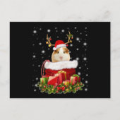 Guinea Pig Gift | Frohe Weihnachts-Guinea Pig Postkarte (Vorderseite)