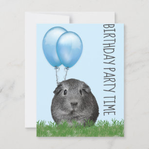 Guinea Pig Girly Blue Ballon Custom Geburtstag Einladung
