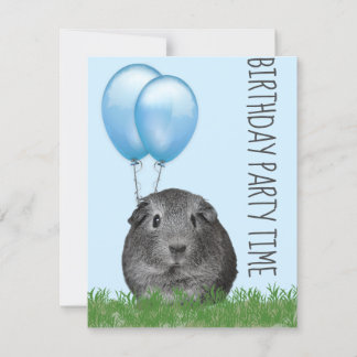 Guinea Pig Girly Blue Ballon Custom Geburtstag Einladung