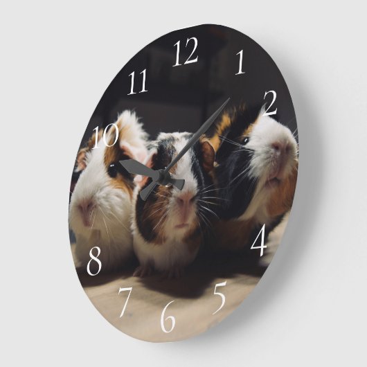 Guinea pig große wanduhr (Winkel)