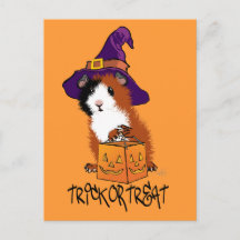Guinea Pig Halloween