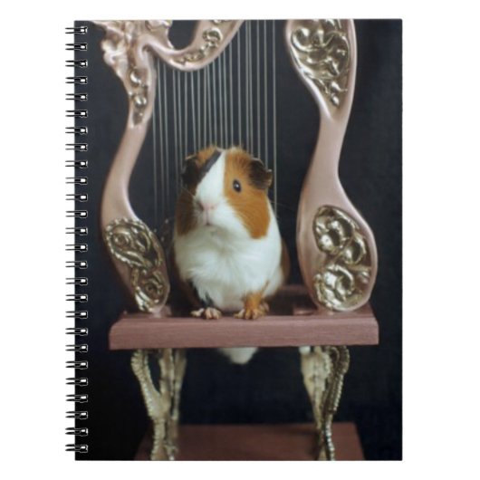 Guinea Pig Harp Notebook – Whimsical Storybook Notizblock (Vorderseite)