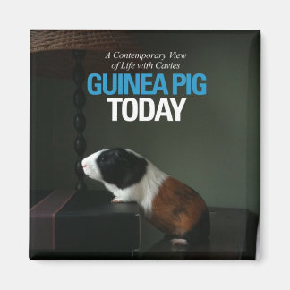 Guinea Pig Heute Foto Magnet