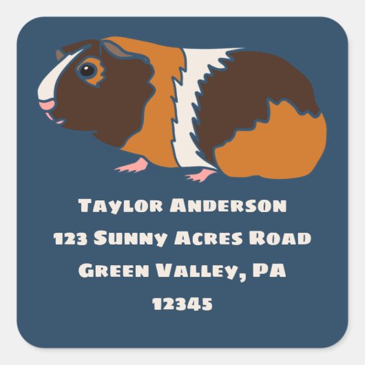 Guinea Pig Illustration Rücksendeadresse Etikett Quadratischer Aufkleber (Vorderseite)