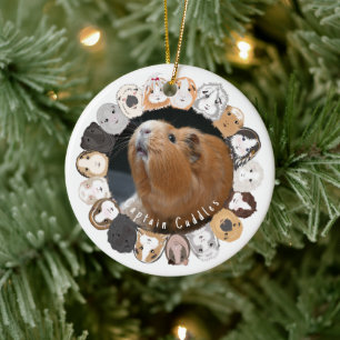Guinea Pig individuell einstellbar Keramik Ornament