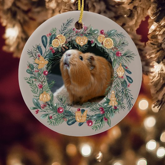 Guinea Pig individuell einstellbar Ornament