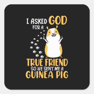 Guinea Pig ist ein echter Freund Quadratischer Aufkleber
