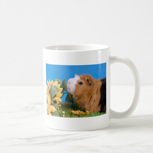 guinea pig kaffeetasse (Rechts)