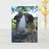 Guinea Pig Karte (Gelbe Blume)