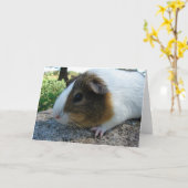 Guinea Pig Karte (Gelbe Blume)