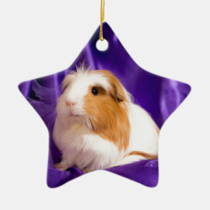guinea pig keramikornament