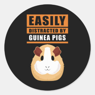 Guinea Pig | Leicht von Schweinen abgelenkt Runder Aufkleber
