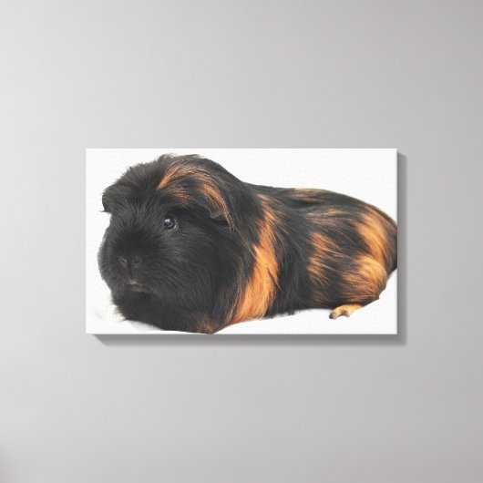 Guinea Pig Leinwanddruck (Vorderseite)