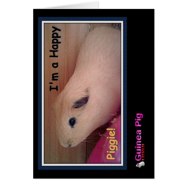 Guinea Pig Lover (Vorne)