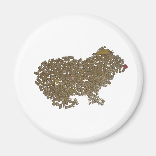Guinea Pig Magnet (Vorne)