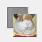 Guinea Pig Magnet #2 (Vorderseite/Rückseite)