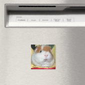 Guinea Pig Magnet #2 (In Situ (Geschirrspüler))