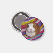 Guinea Pig Magnet #3 (Vorderseite/Rückseite)