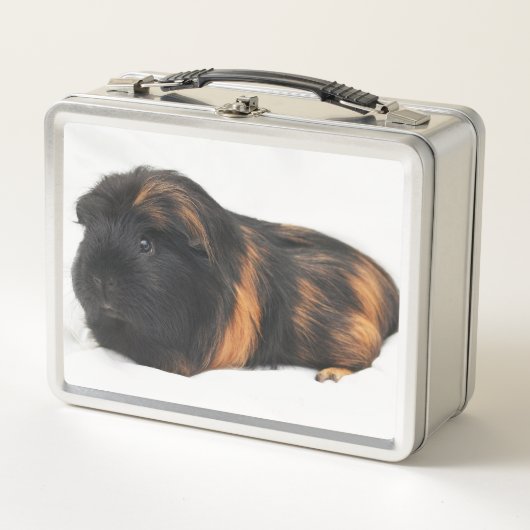 Guinea Pig Metall Brotdose (Vorderseite)