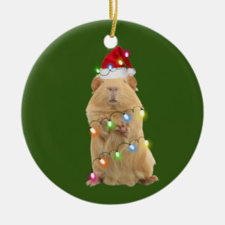 Guinea Pig mit Hat Lights Weihnachten Keramik Ornament