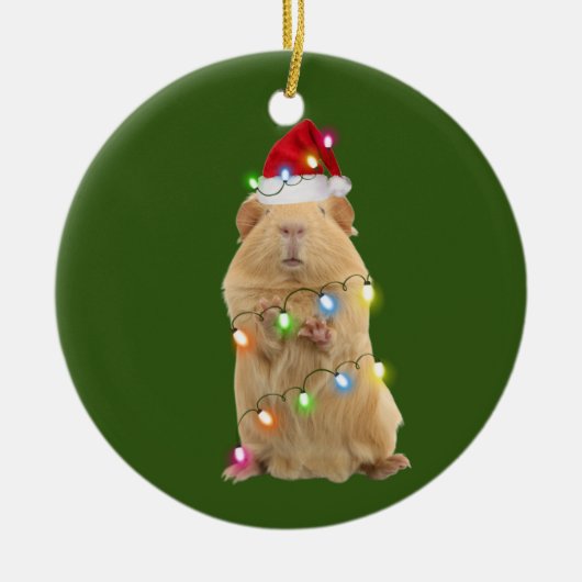 Guinea Pig mit Hat Lights Weihnachten Keramik Ornament (Vorne)