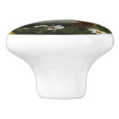 Guinea Pig Moon Daisies, Keramikknauf (Seitenansicht)