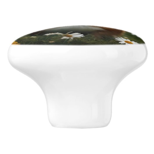 Guinea Pig Moon Daisies, Keramikknauf (Seitenansicht)