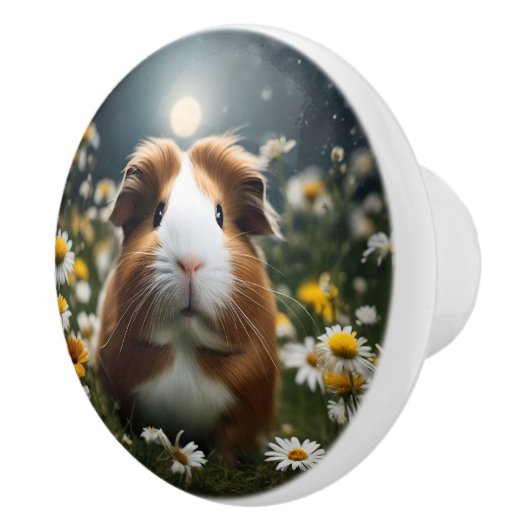 Guinea Pig Moon Daisies, Keramikknauf (Rechts)