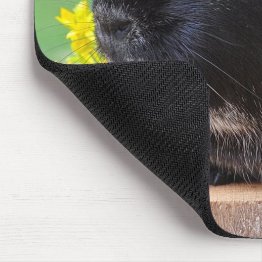Guinea Pig Mouse Pad Mousepad (Ecke)