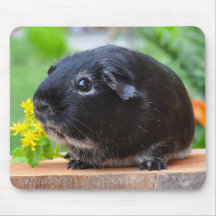 Guinea Pig Mouse Pad