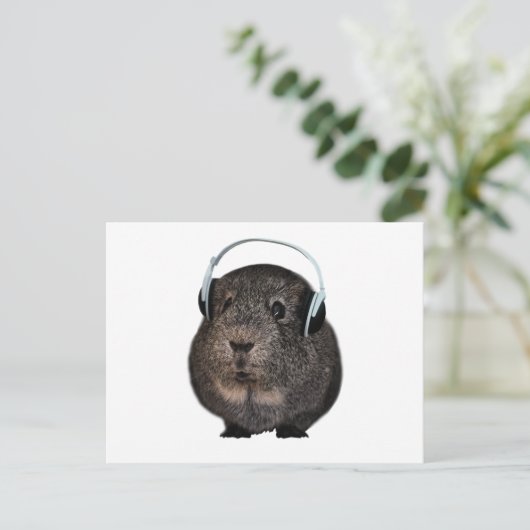 Guinea Pig Music Pet Postkarte (Stehend Vorderseite)