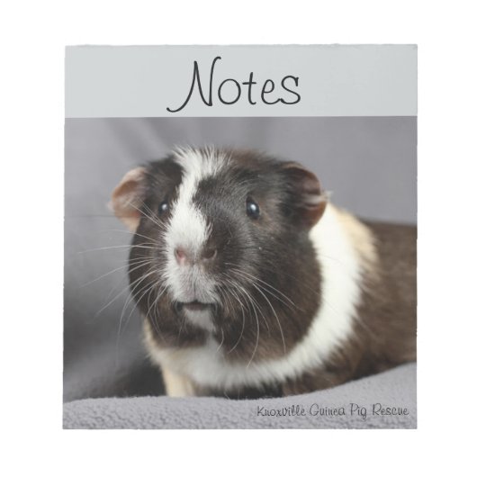 Guinea Pig Notepad Notizblock (Vorderseite)