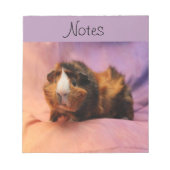 Guinea Pig Notepad Notizblock (Vorderseite)