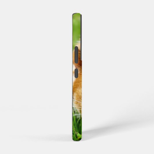 Guinea Pig Phone Case Samsung Galaxy Hülle (Rechte Seite)