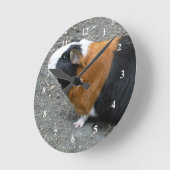Guinea Pig Photo Runde Wanduhr (Winkel)