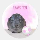 Guinea Pig Pink Fußball Ball Danke Runder Aufkleber (Vorderseite)