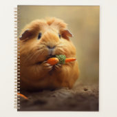 Guinea Pig Planer (Vorderseite)