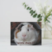 Guinea Pig Postkarte (Stehend Vorderseite)