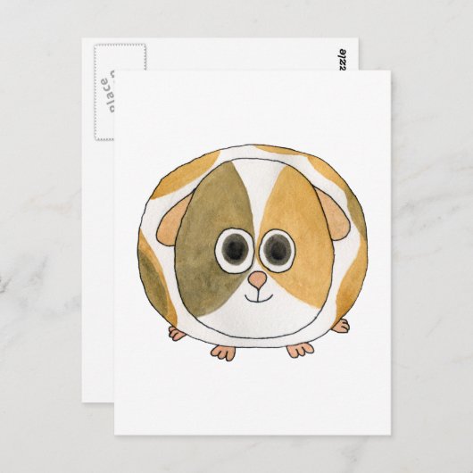 Guinea Pig. Postkarte (Vorne/Hinten)