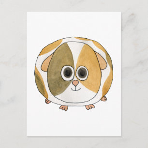 Guinea Pig. Postkarte