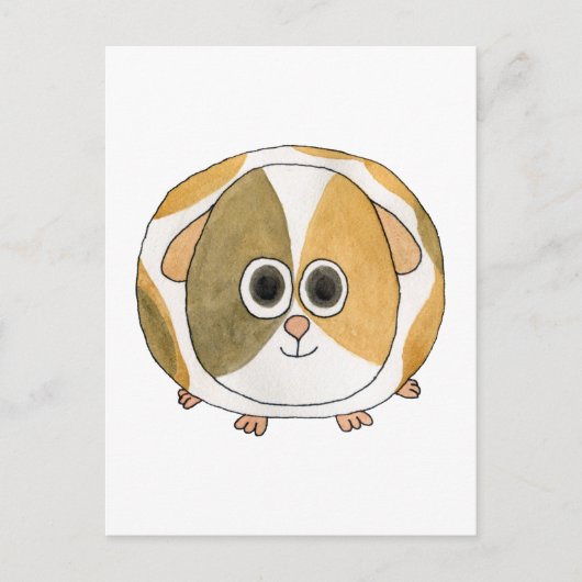 Guinea Pig. Postkarte (Vorderseite)