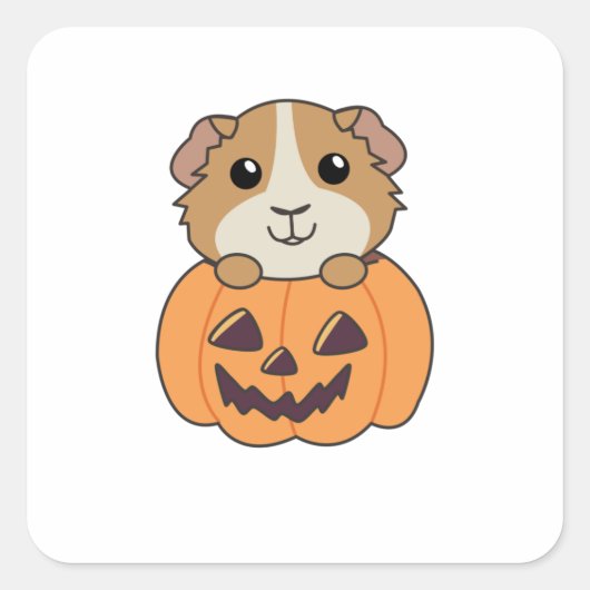 Guinea Pig Pumpkin Sweet Animals Happy Halloween Quadratischer Aufkleber (Vorderseite)