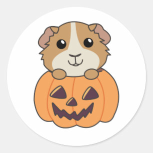 Guinea Pig Pumpkin Sweet Animals Happy Halloween Runder Aufkleber