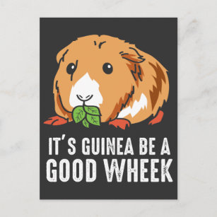 "Guinea Pig Pun Funny Pet Rodent Cavy" Postkarte