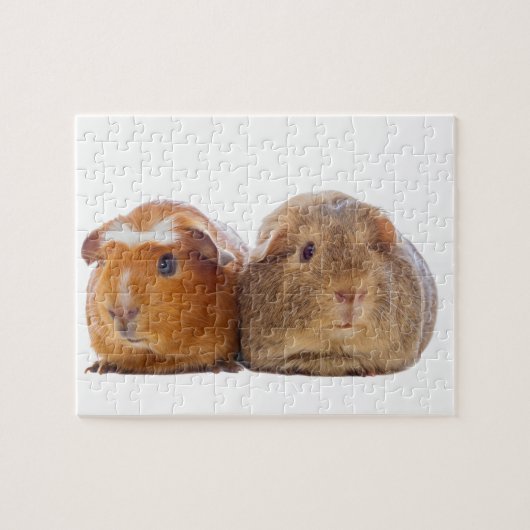 Guinea Pig Puzzle (Horizontal)