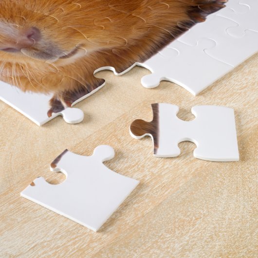 Guinea Pig Puzzle (Seite)