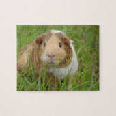 Guinea Pig Puzzle (Horizontal)